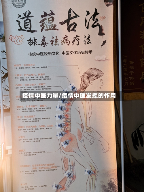 疫情中医力量/疫情中医发挥的作用