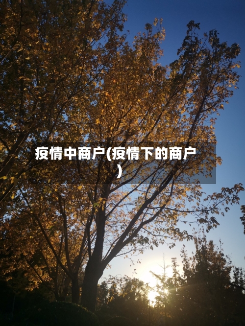 疫情中商户(疫情下的商户)