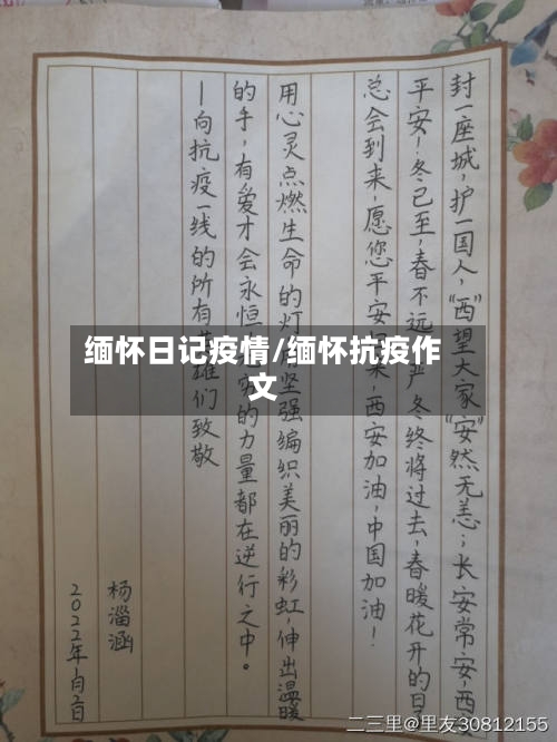 缅怀日记疫情/缅怀抗疫作文
