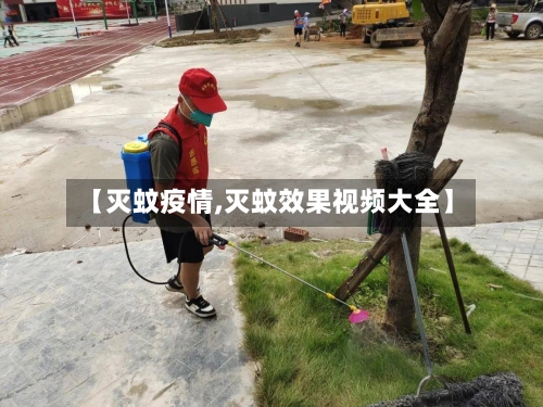 【灭蚊疫情,灭蚊效果视频大全】-第3张图片