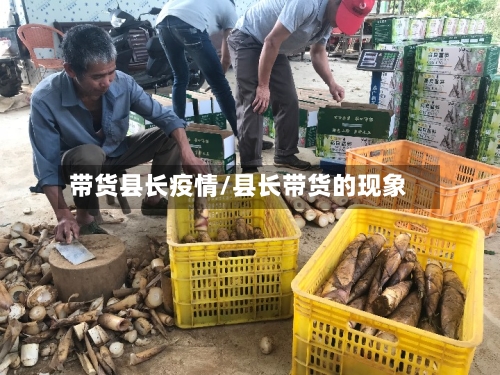 带货县长疫情/县长带货的现象
