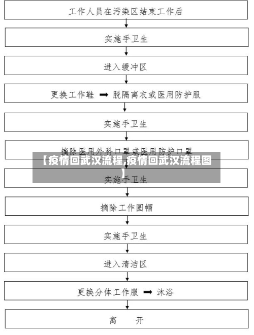 【疫情回武汉流程,疫情回武汉流程图】