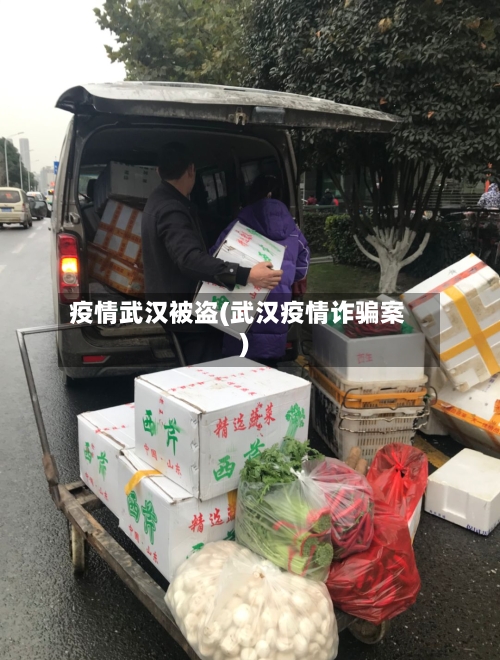 疫情武汉被盗(武汉疫情诈骗案)-第2张图片