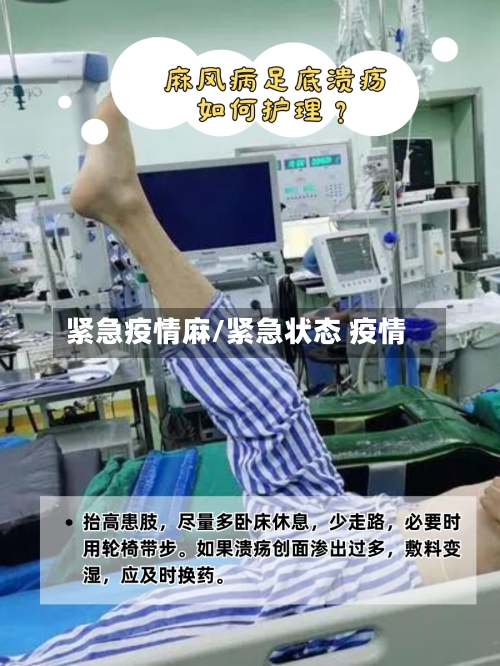 紧急疫情麻/紧急状态 疫情