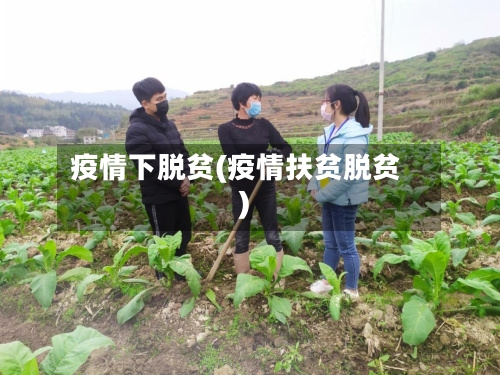 疫情下脱贫(疫情扶贫脱贫)