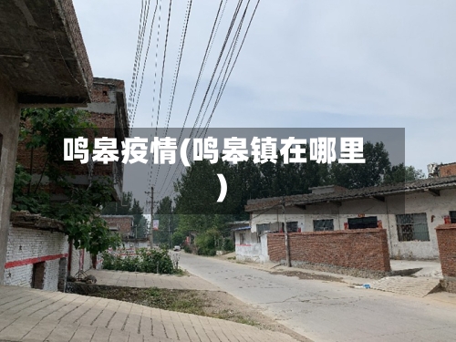 鸣皋疫情(鸣皋镇在哪里)