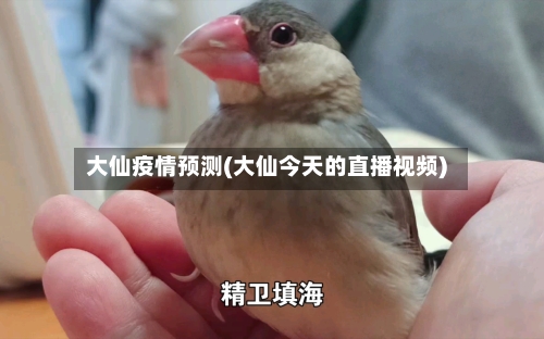 大仙疫情预测(大仙今天的直播视频)