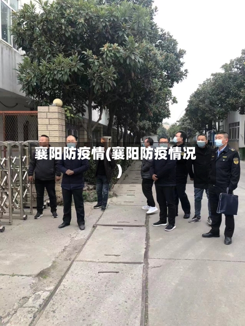 襄阳防疫情(襄阳防疫情况)