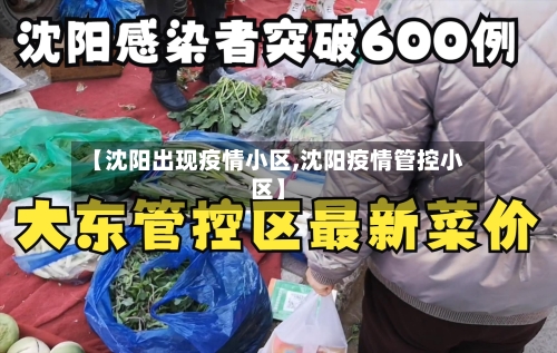 【沈阳出现疫情小区,沈阳疫情管控小区】