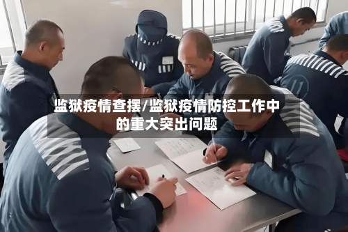 监狱疫情查摆/监狱疫情防控工作中的重大突出问题