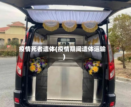 疫情死者遗体(疫情期间遗体运输)
