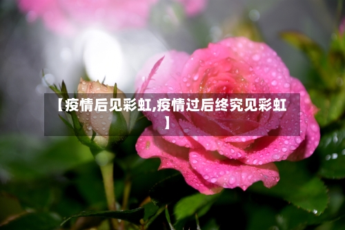 【疫情后见彩虹,疫情过后终究见彩虹】