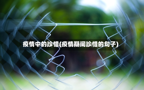 疫情中的珍惜(疫情期间珍惜的句子)