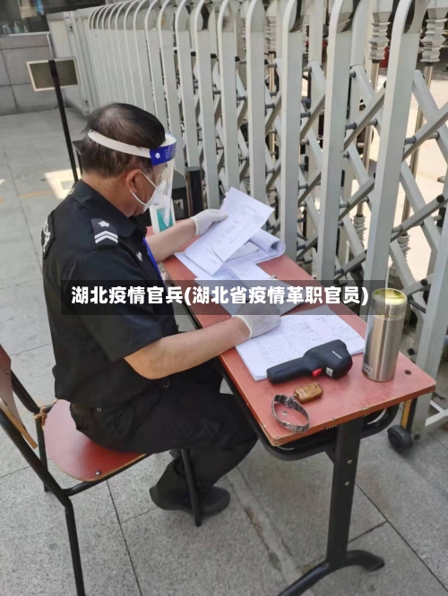 湖北疫情官兵(湖北省疫情革职官员)
