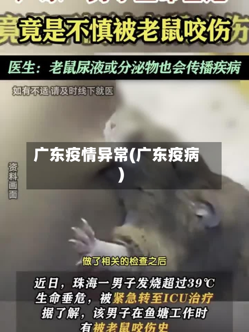 广东疫情异常(广东疫病)