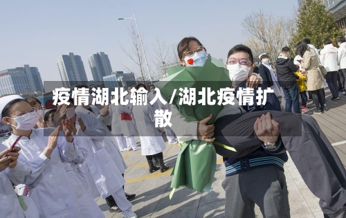 疫情湖北输入/湖北疫情扩散