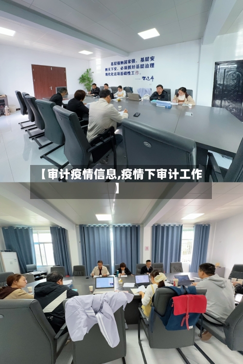 【审计疫情信息,疫情下审计工作】