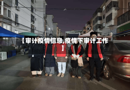 【审计疫情信息,疫情下审计工作】-第2张图片