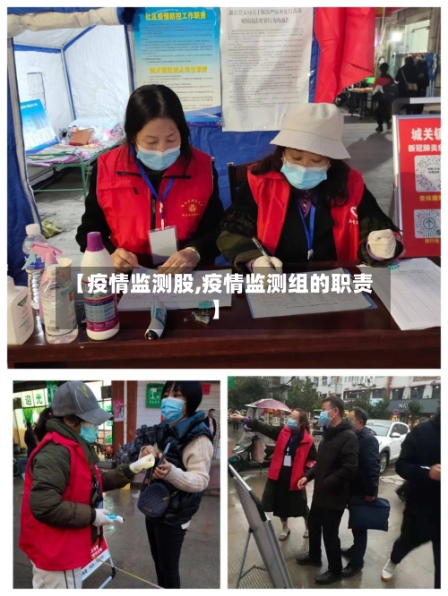【疫情监测股,疫情监测组的职责】