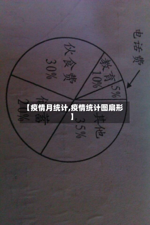 【疫情月统计,疫情统计图扇形】