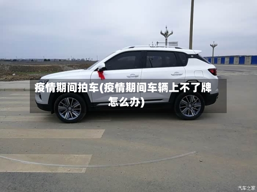 疫情期间拍车(疫情期间车辆上不了牌怎么办)