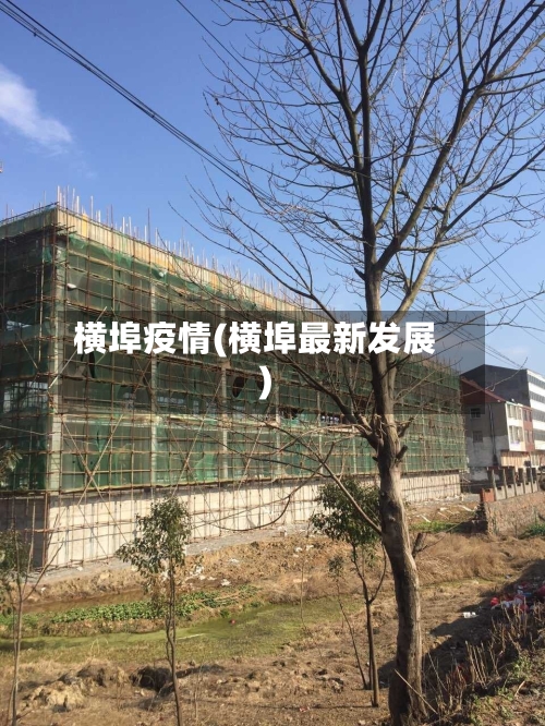 横埠疫情(横埠最新发展)