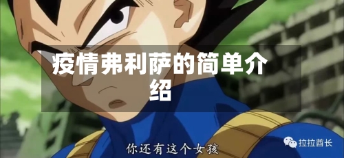 疫情弗利萨的简单介绍