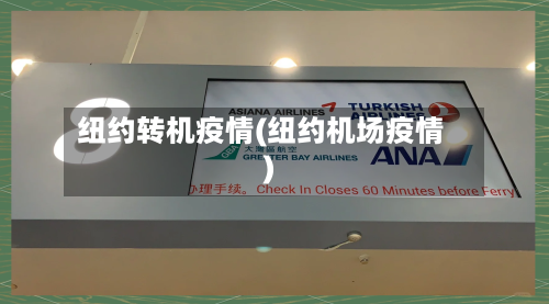 纽约转机疫情(纽约机场疫情)-第2张图片