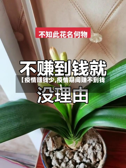 【疫情赚钱少,疫情期间赚不到钱】
