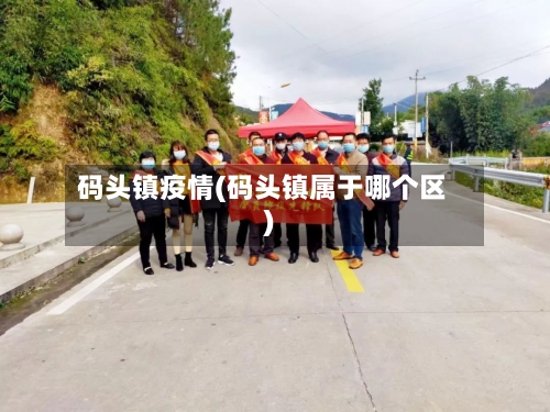 码头镇疫情(码头镇属于哪个区)-第2张图片