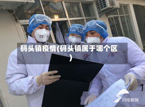 码头镇疫情(码头镇属于哪个区)-第3张图片