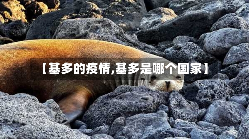 【基多的疫情,基多是哪个国家】-第3张图片