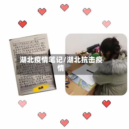 湖北疫情笔记/湖北抗击疫情