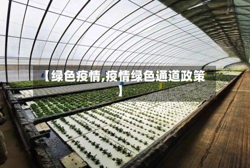 【绿色疫情,疫情绿色通道政策】-第2张图片