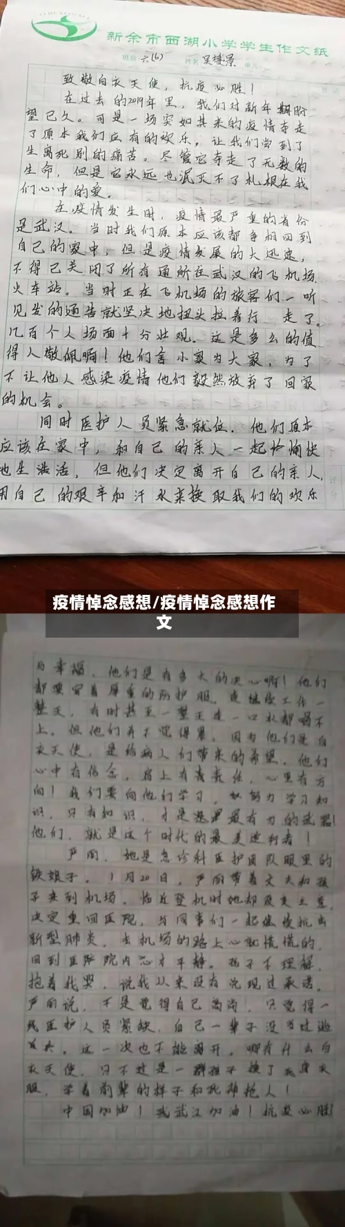 疫情悼念感想/疫情悼念感想作文