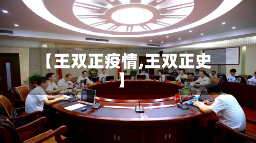 【王双正疫情,王双正史】