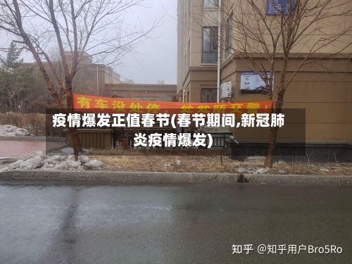 疫情爆发正值春节(春节期间,新冠肺炎疫情爆发)