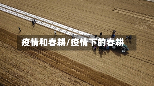 疫情和春耕/疫情下的春耕