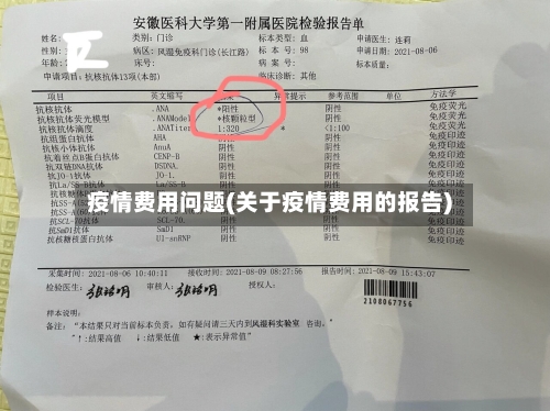 疫情费用问题(关于疫情费用的报告)