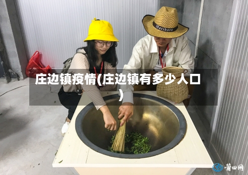 庄边镇疫情(庄边镇有多少人口)-第2张图片