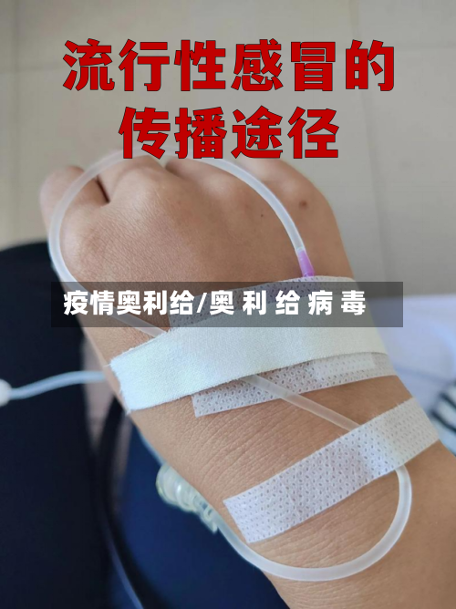 疫情奥利给/奥 利 给 病 毒
