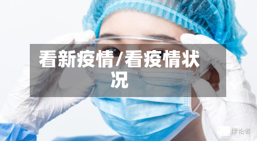 看新疫情/看疫情状况