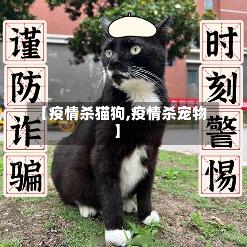 【疫情杀猫狗,疫情杀宠物】-第3张图片