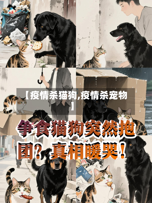 【疫情杀猫狗,疫情杀宠物】-第2张图片