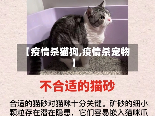 【疫情杀猫狗,疫情杀宠物】