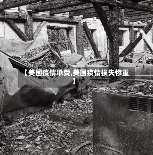 【美国疫情承受,美国疫情损失惨重】-第2张图片