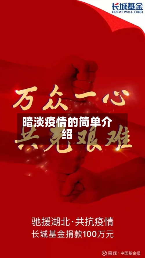 暗淡疫情的简单介绍