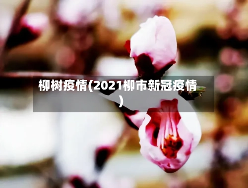 柳树疫情(2021柳市新冠疫情)