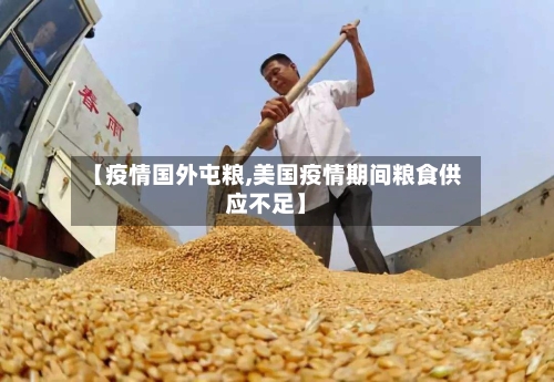 【疫情国外屯粮,美国疫情期间粮食供应不足】-第2张图片