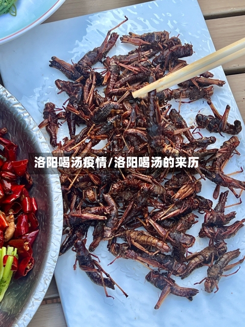 洛阳喝汤疫情/洛阳喝汤的来历
